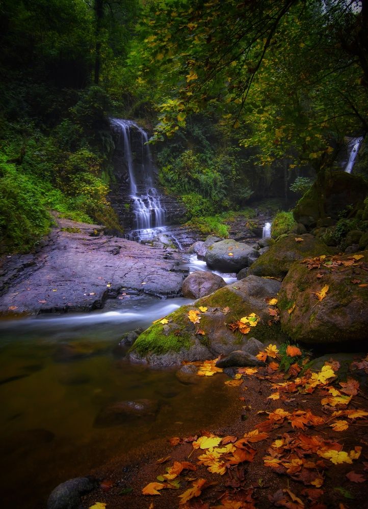 Photograph by Farid Golafshan