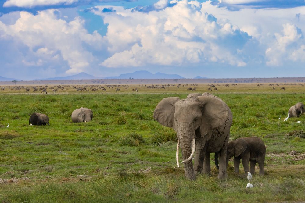 Фотография автора Subi Sridharan