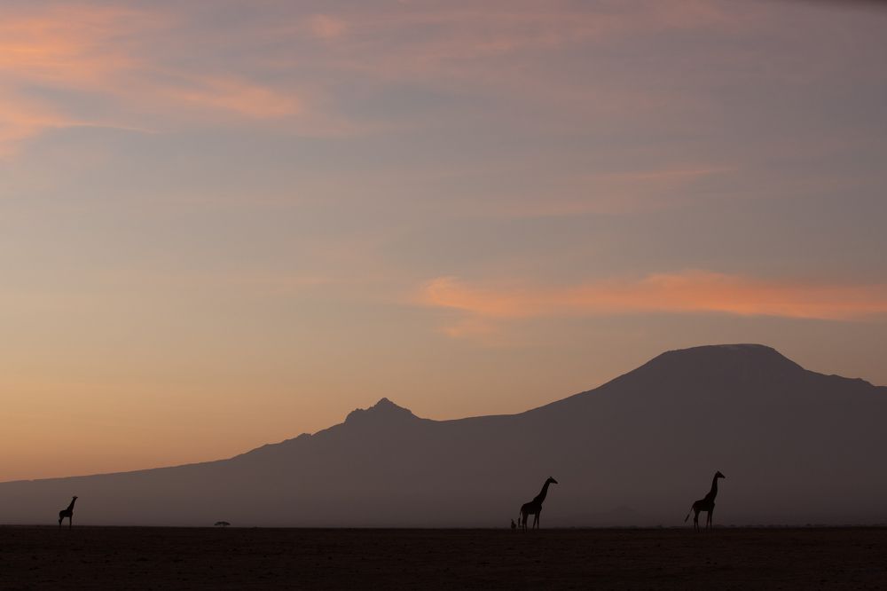 Фотография автора Subi Sridharan