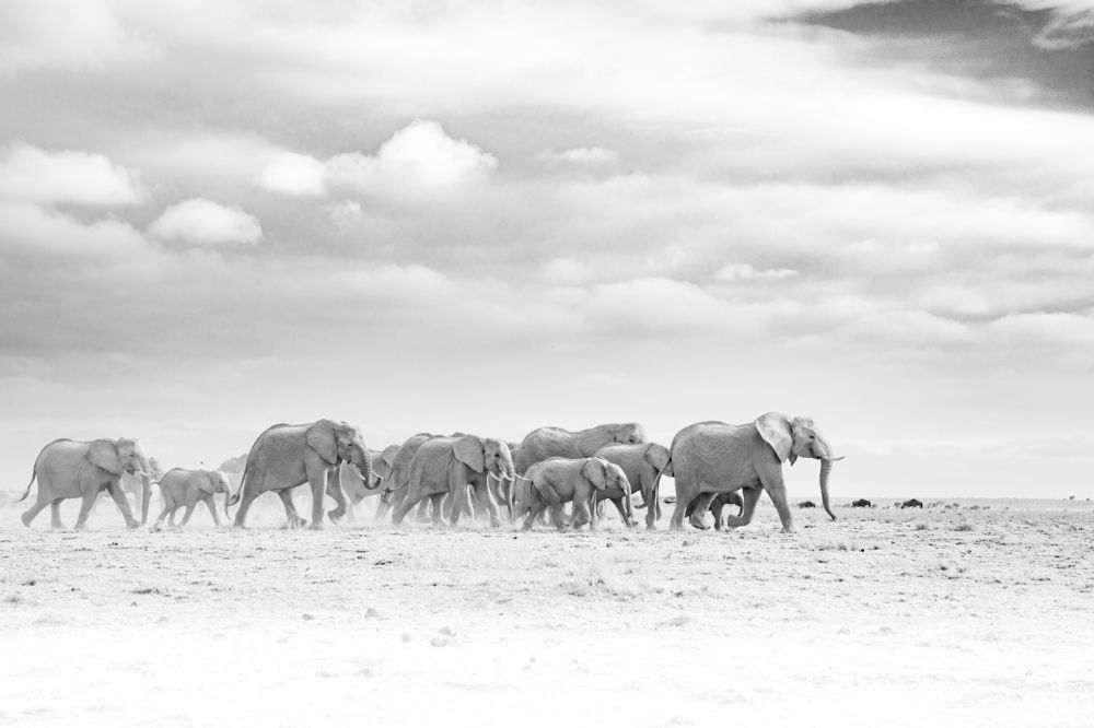 Фотография автора Subi Sridharan