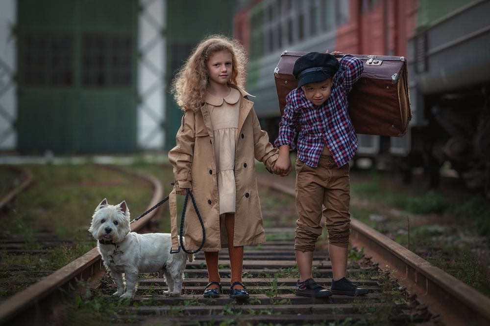 Photograph by Sergey_photovl