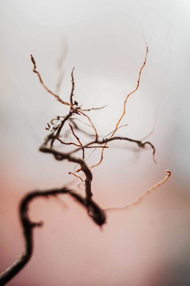 Photograph by Галина Царькова