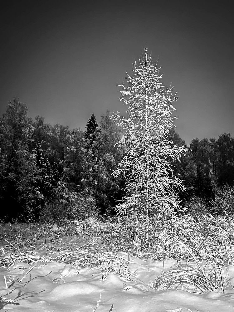 Photograph by Римма Рамазанова