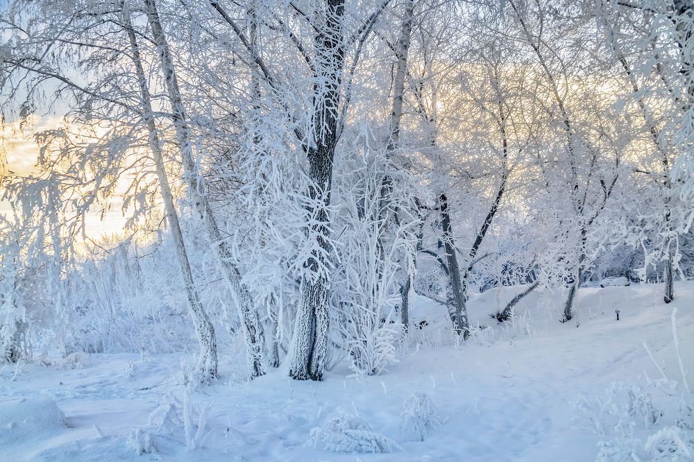Photograph by Галина Царькова