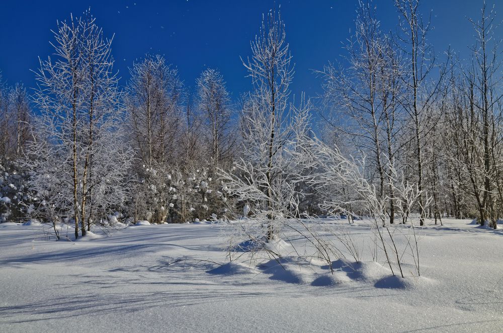 Photograph by Галина Царькова