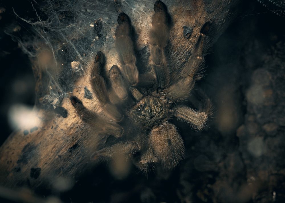 Photograph by Yuliya Khramova