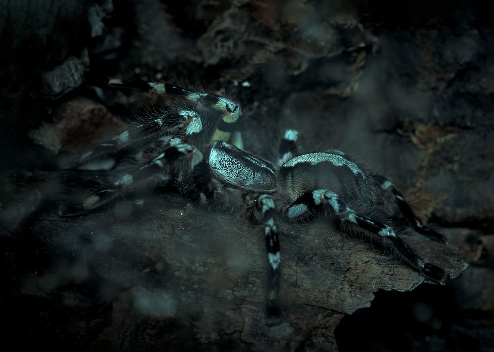 Photograph by Yuliya Khramova