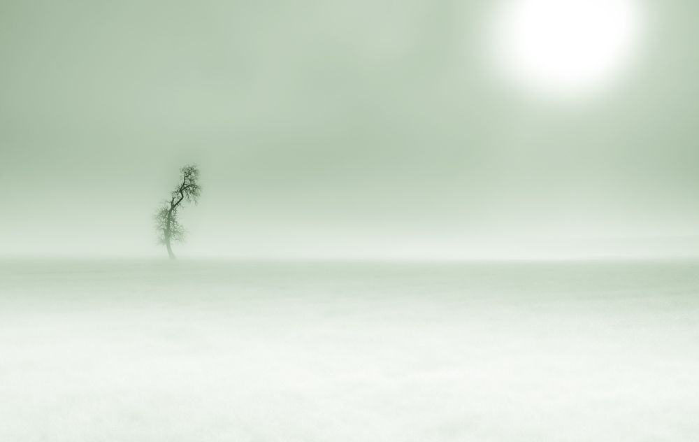 Photograph by LYUDMYLA POKRYSHEN