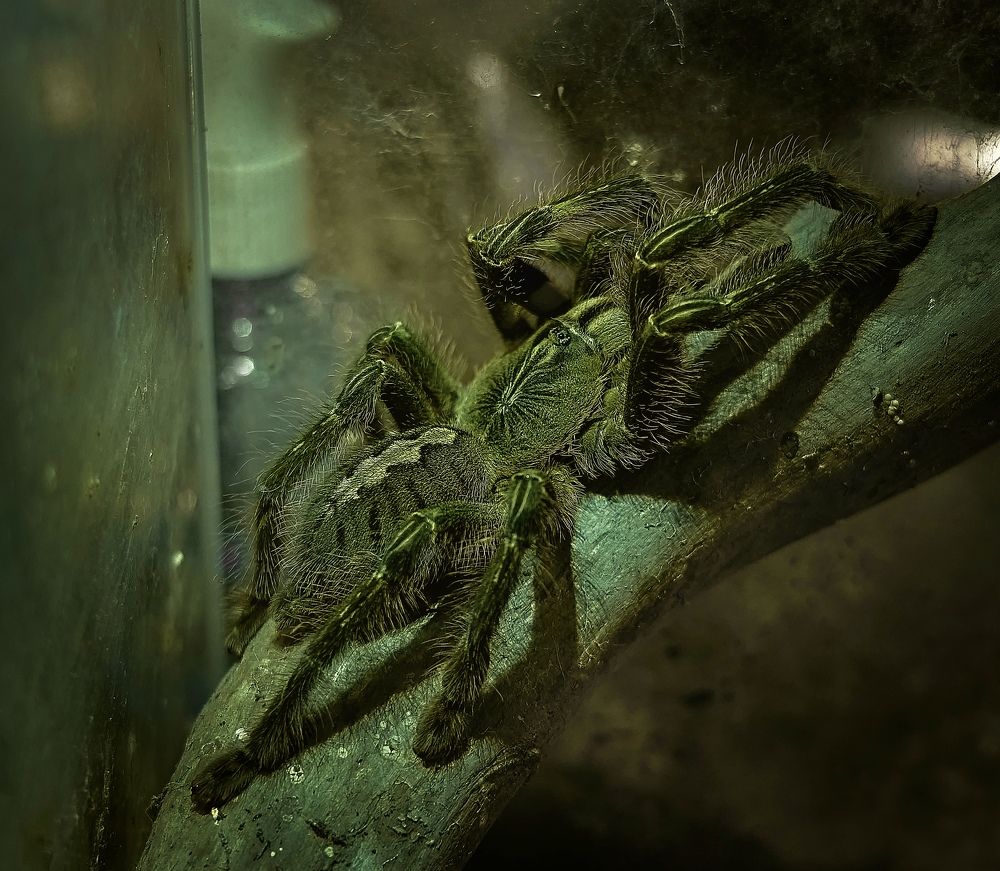 Photograph by Yuliya Khramova