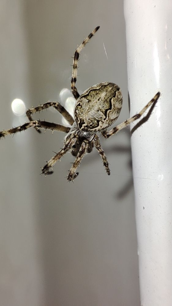 Photograph by Евгений Евдокимов