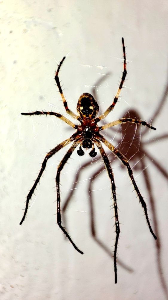 Photograph by Евгений Евдокимов