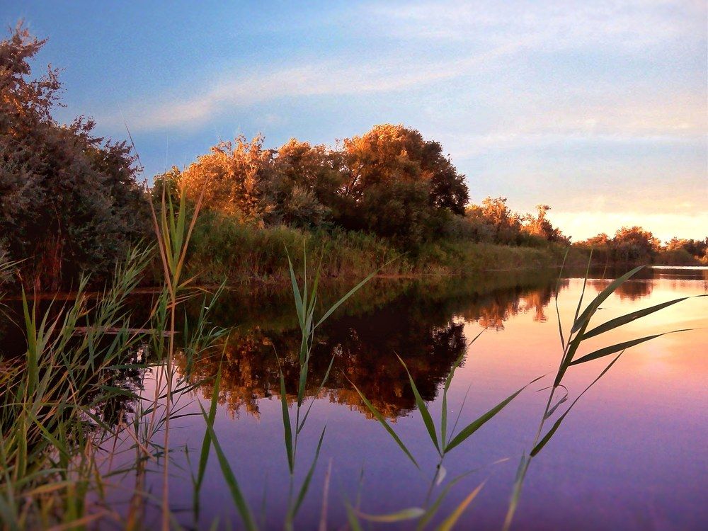 Photograph by Наталия Гнатова