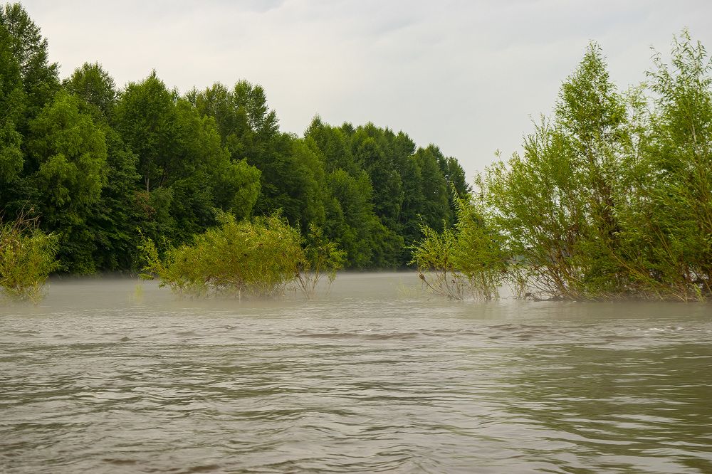 Туман и река