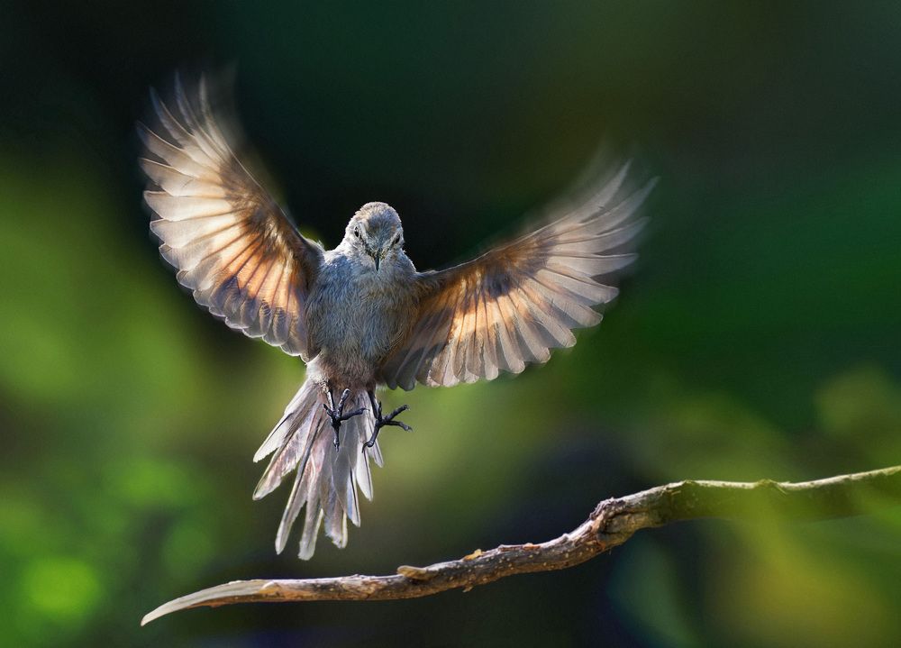 Photograph by Eduardo Modolo