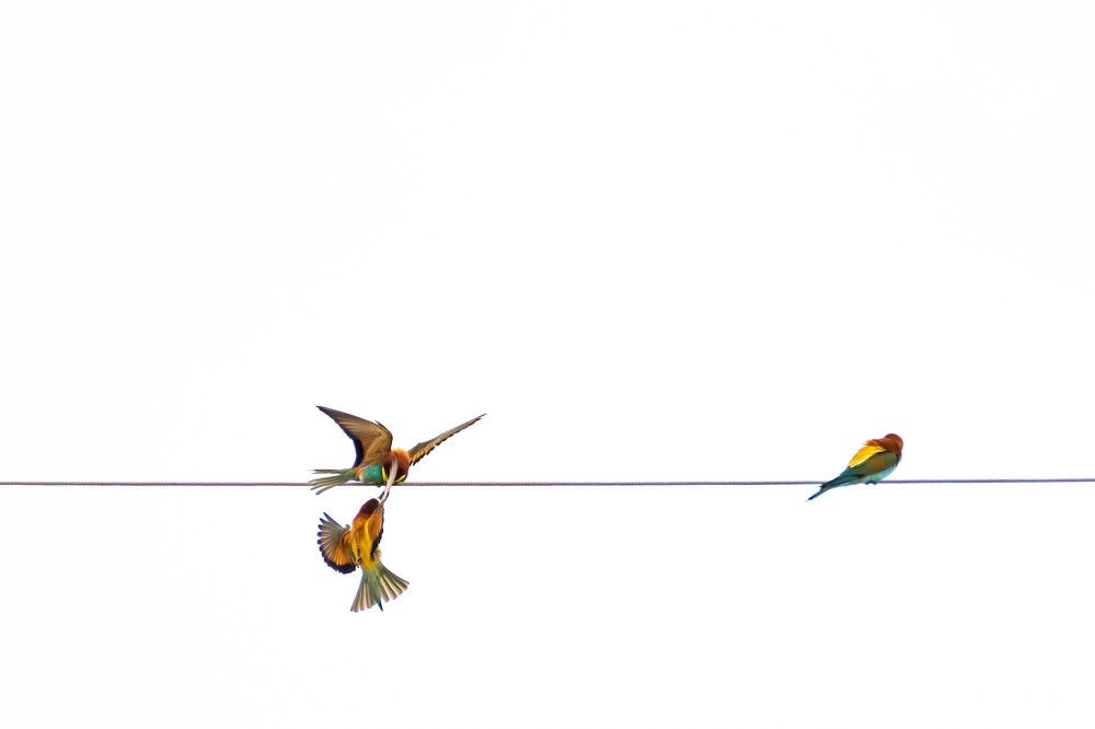 Photograph by Francisco José López Fernández