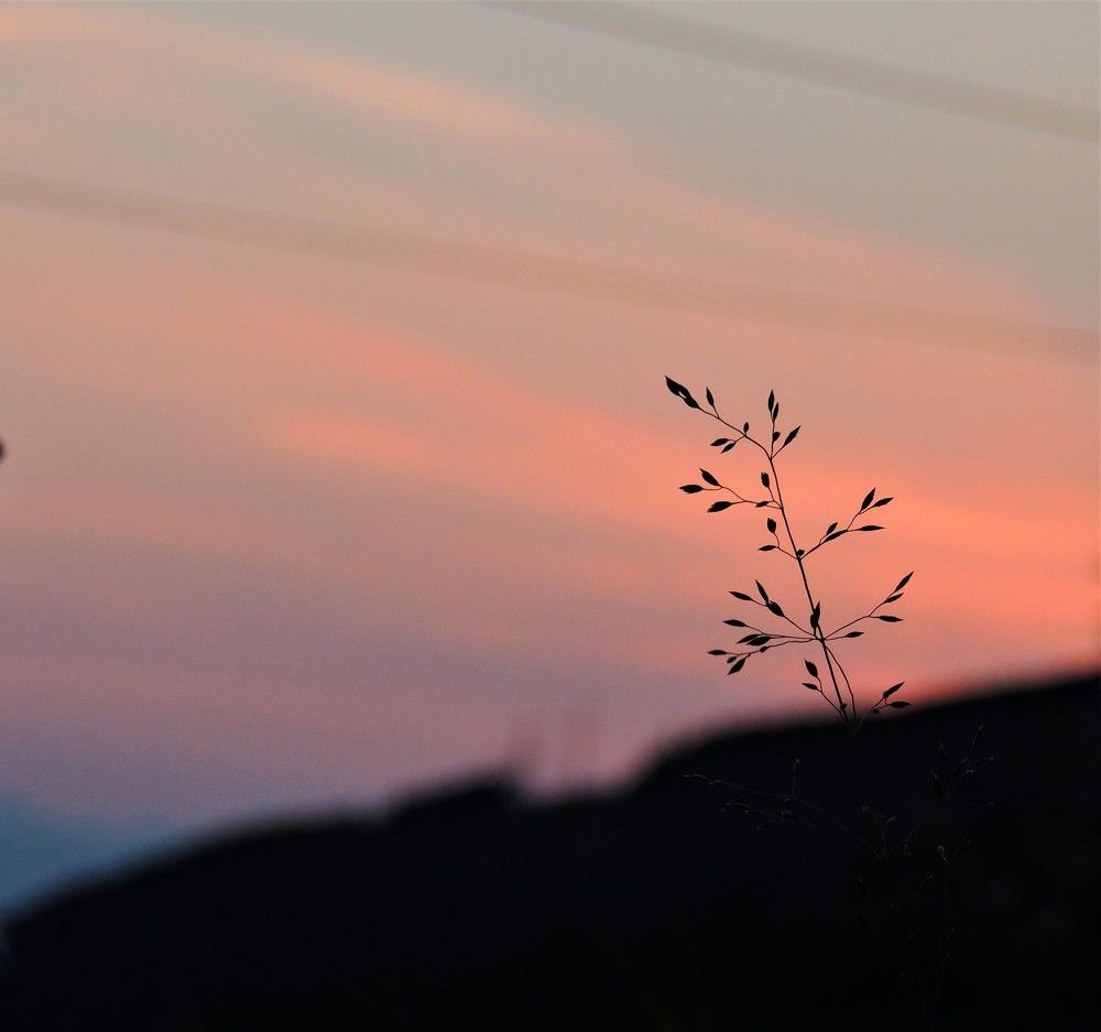 Photograph by Ирина Фирсова