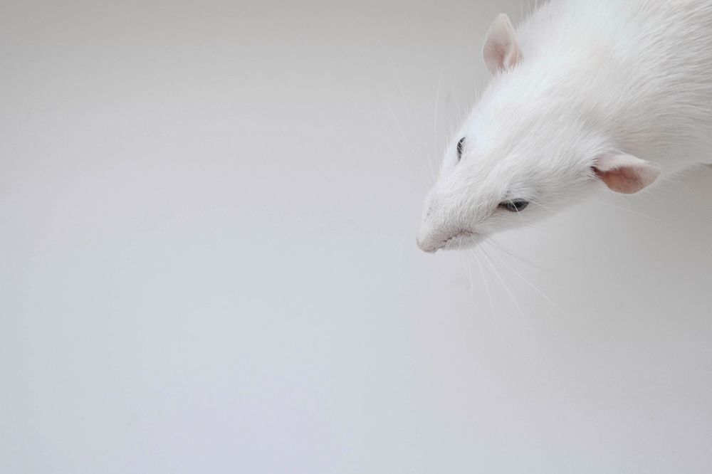 Photograph by Алена Райфутдинова