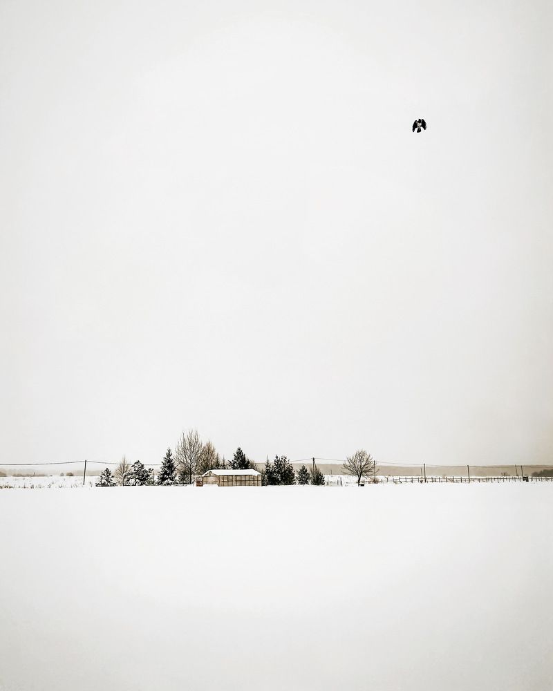 Photograph by Марина Урусова