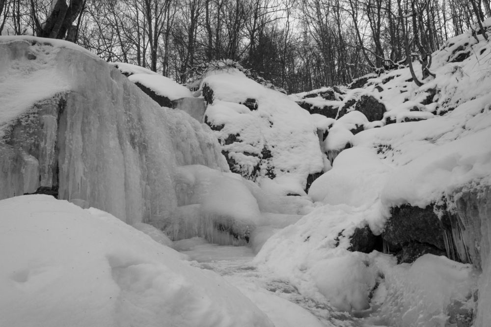 Замерший Кук-Караук