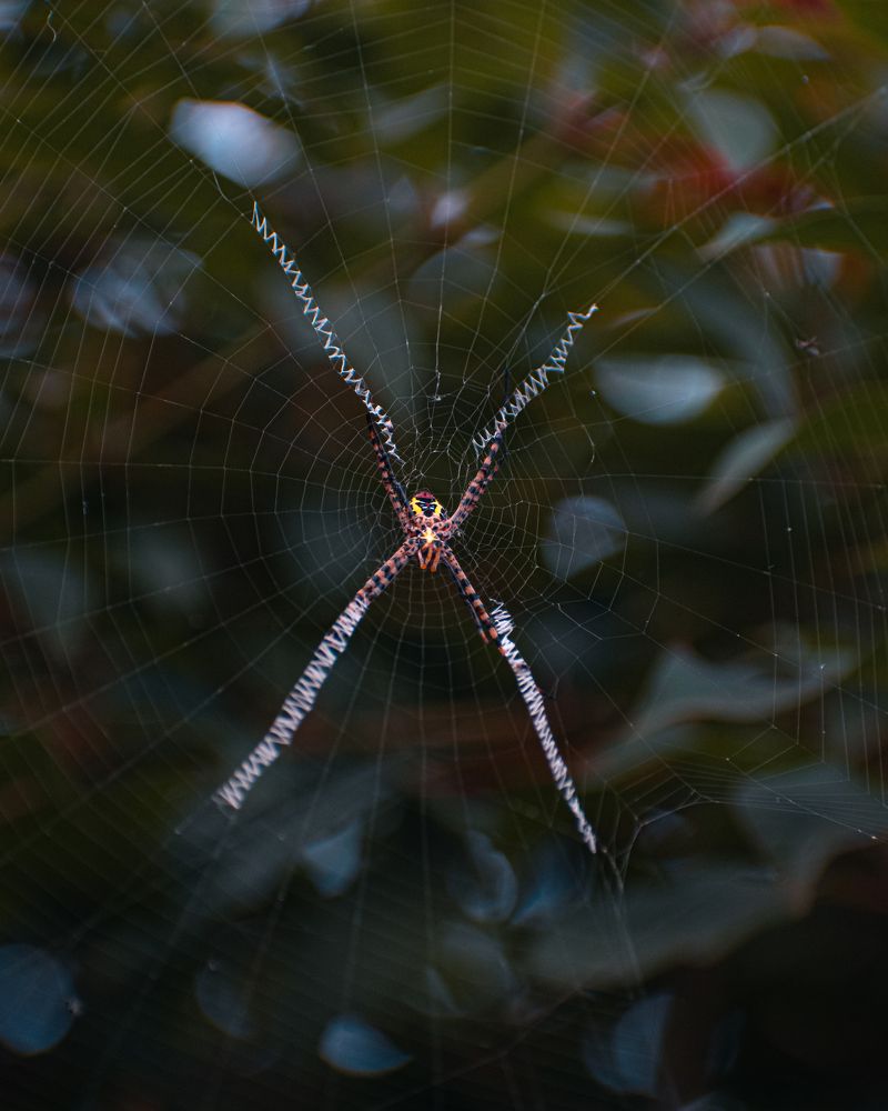 Photograph by Kriti Aggarwal