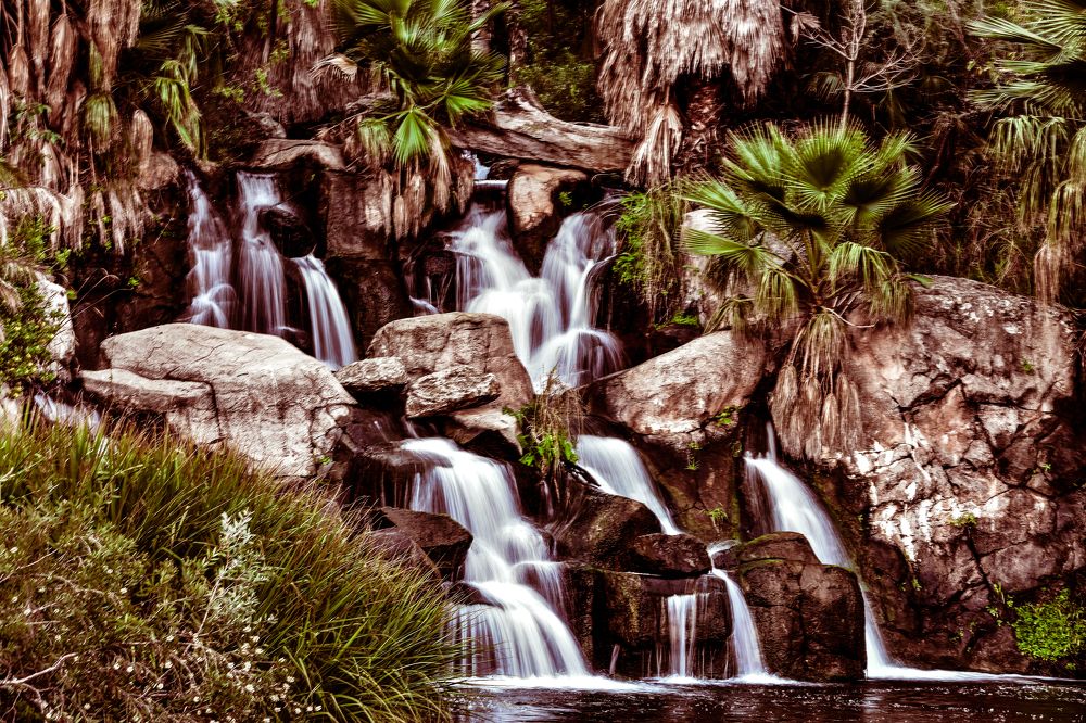 Photograph by Kriti Aggarwal