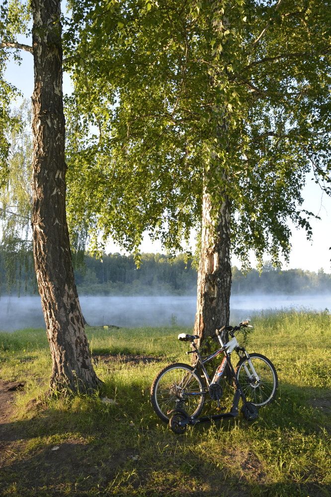 Photograph by Римма Большакова