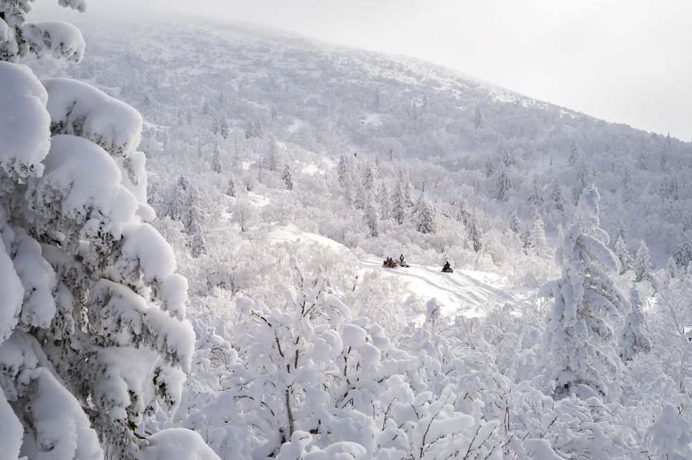 У вершины горы Быкова. Остров Сахалин