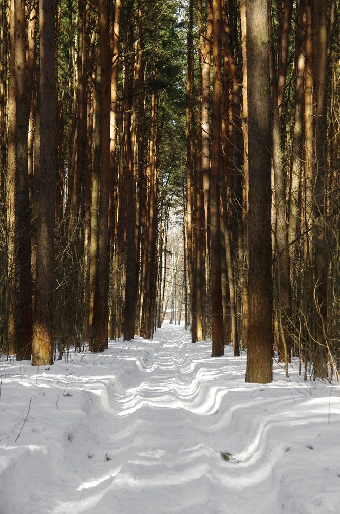 Photograph by Екатерина Чижевская