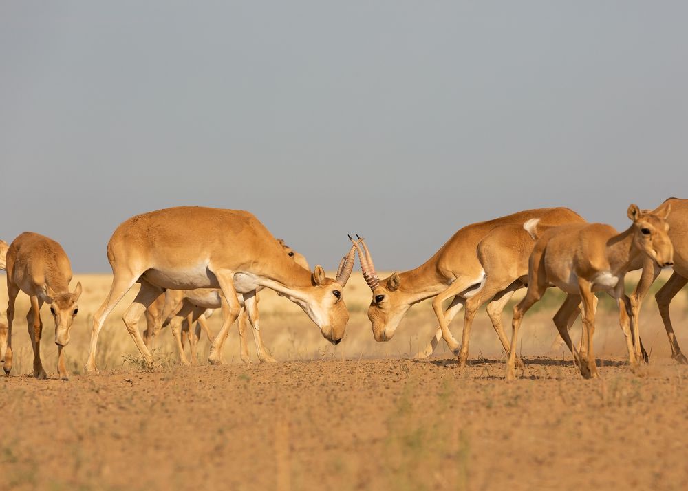 Photograph by Александр Ильин