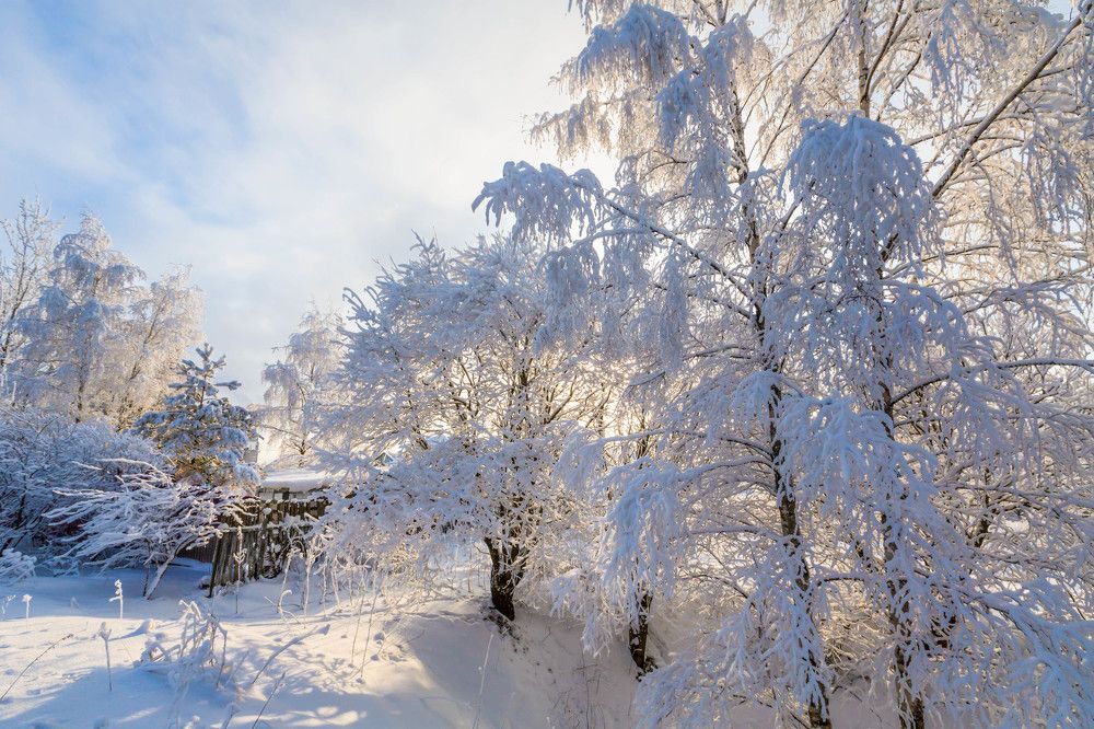 Photograph by Михаил Бояркин