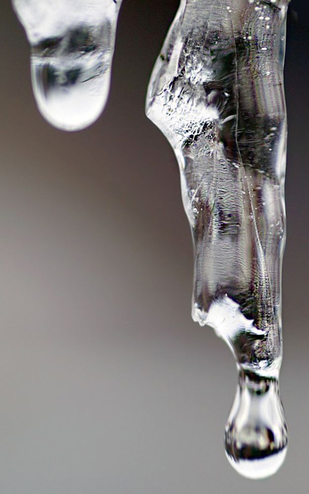 Photograph by Виталий Слёзка