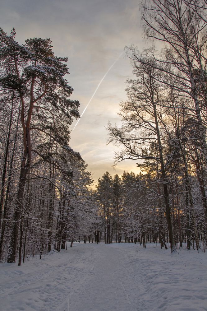 Photograph by Olga Min