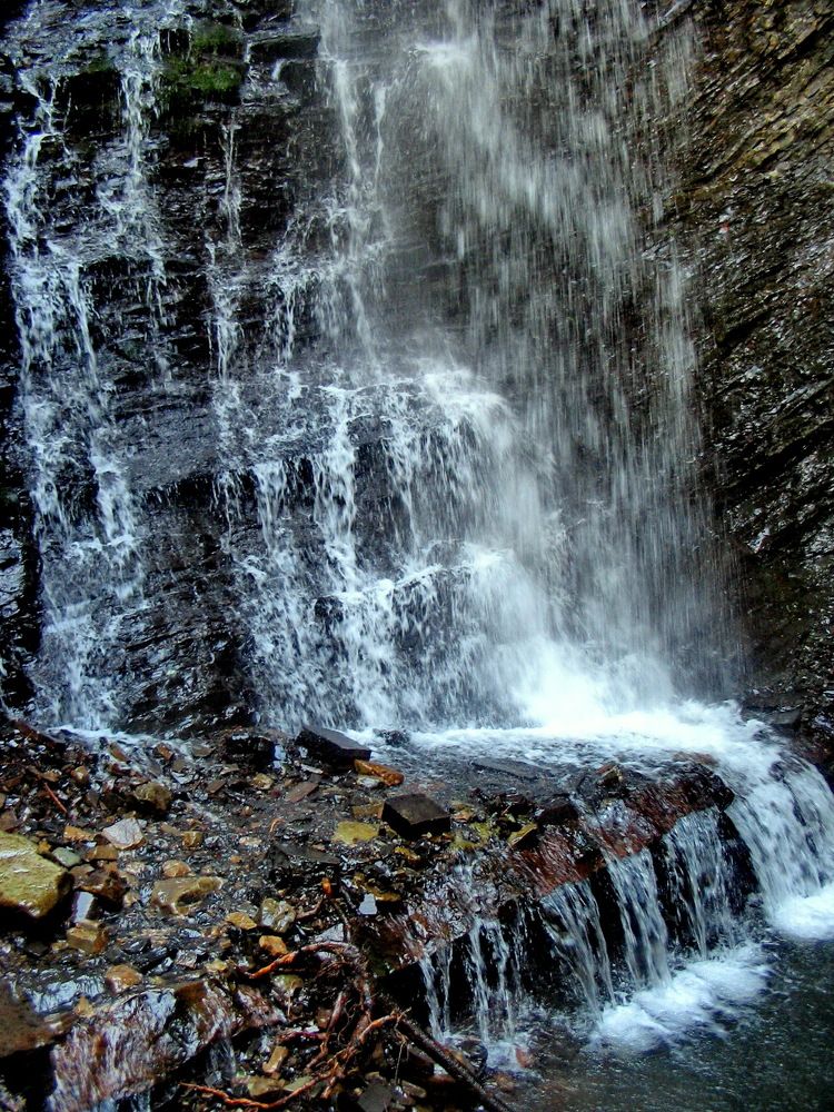 Серебряные струи