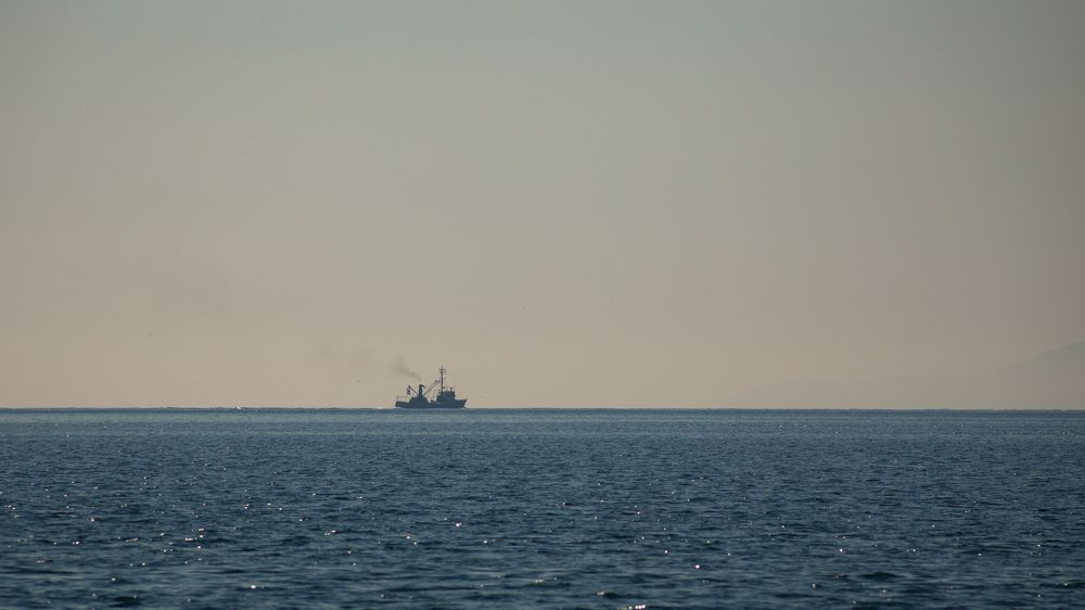 Photograph by Валентин Кольцов