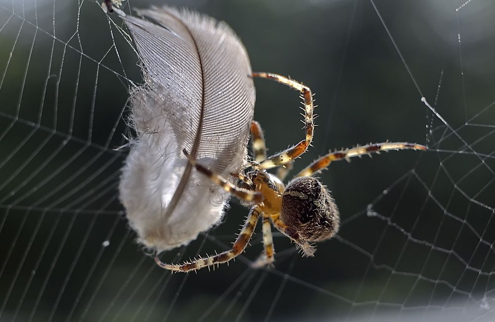 Photograph by Анатолий Святой