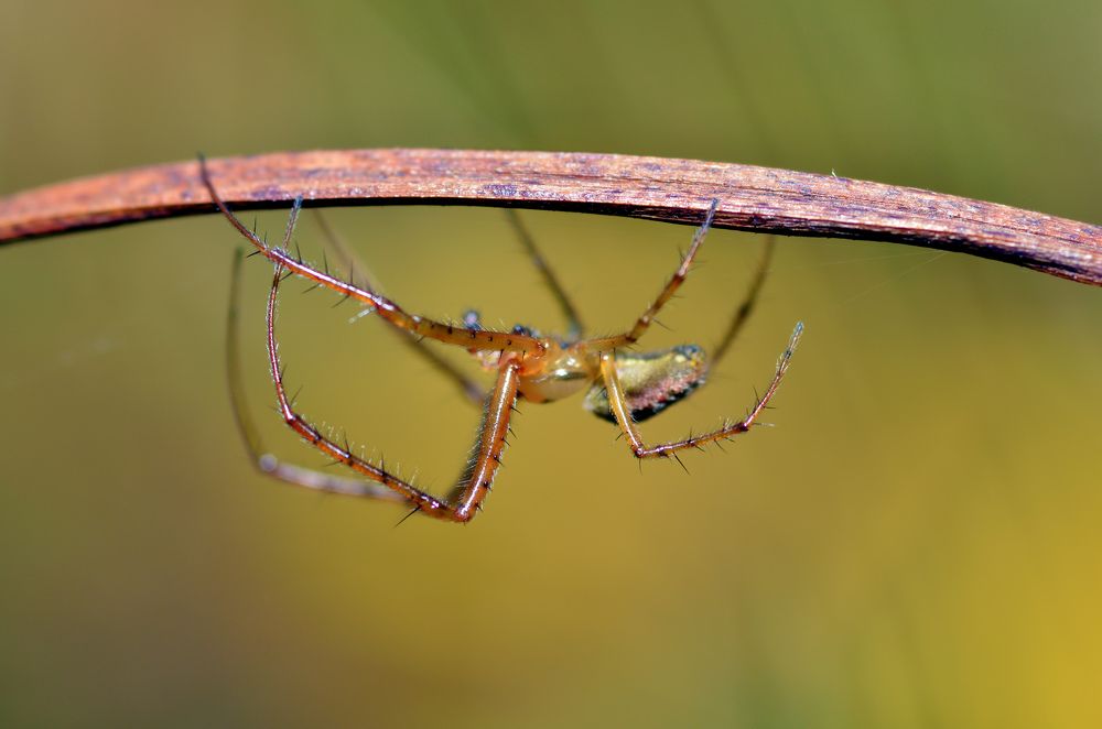 Photograph by Александр Клопков