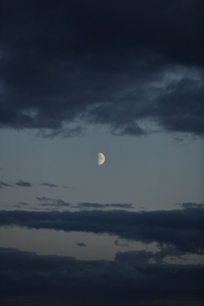 Photograph by Oksana Shchegolkova