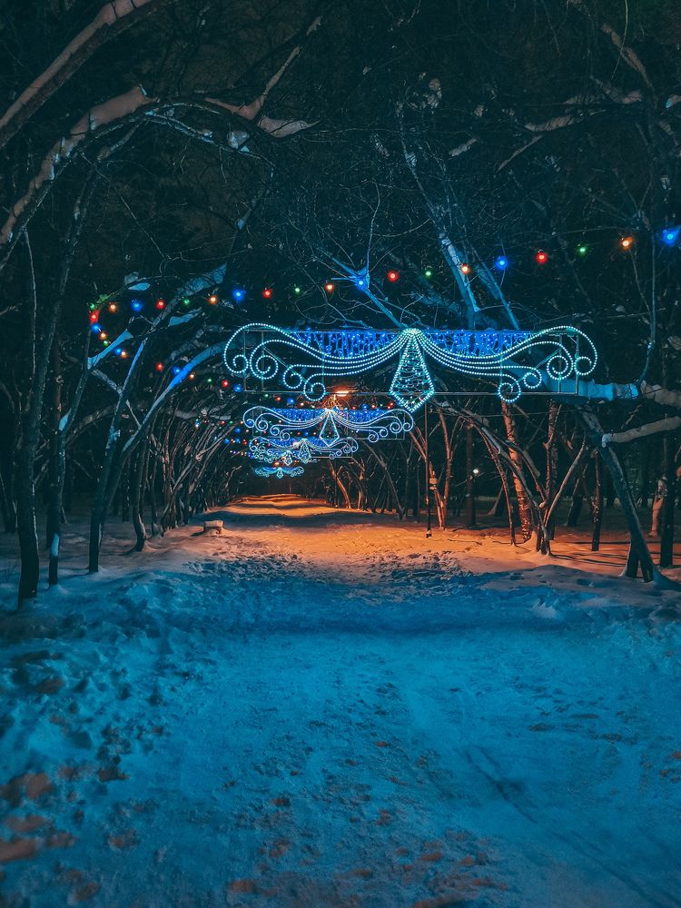 Photograph by Дарья Иконникова