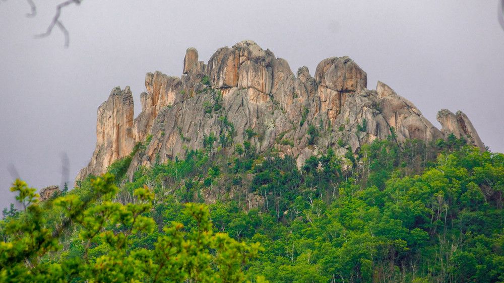 черепашка идет в горы