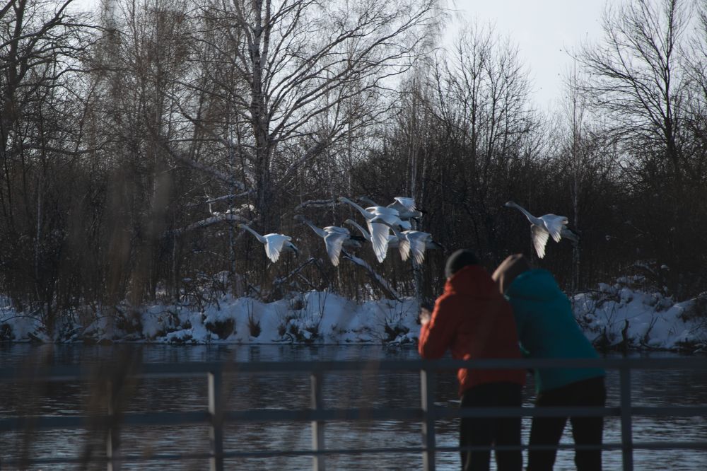 Photograph by Роман Раскошный