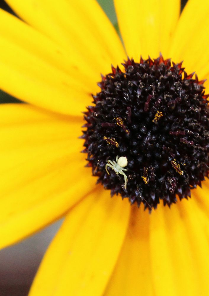 Photograph by Кутлугужина Люция