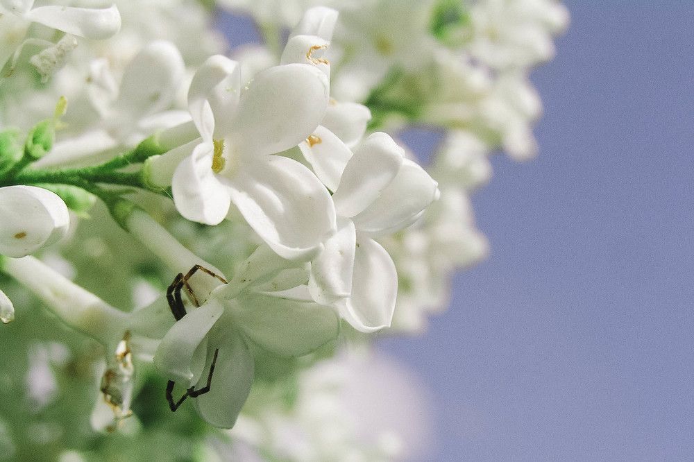 Photograph by Татьяна Носкович