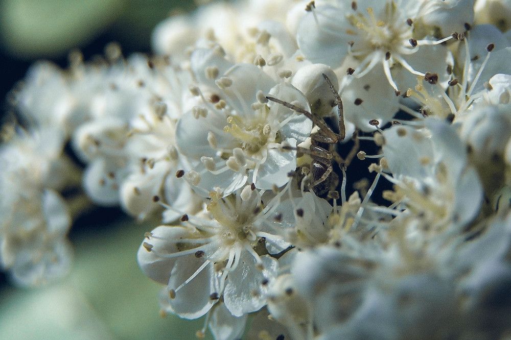 Photograph by Татьяна Носкович