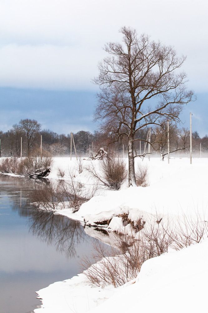 Photograph by Александр Скрементов