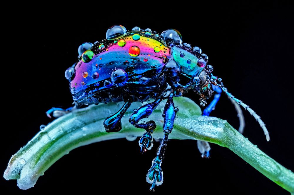 Photograph by KAIYEN LEE