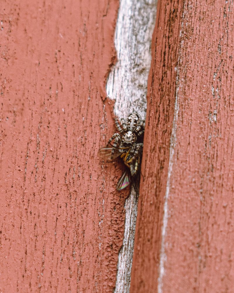 Photograph by Татьяна Носкович