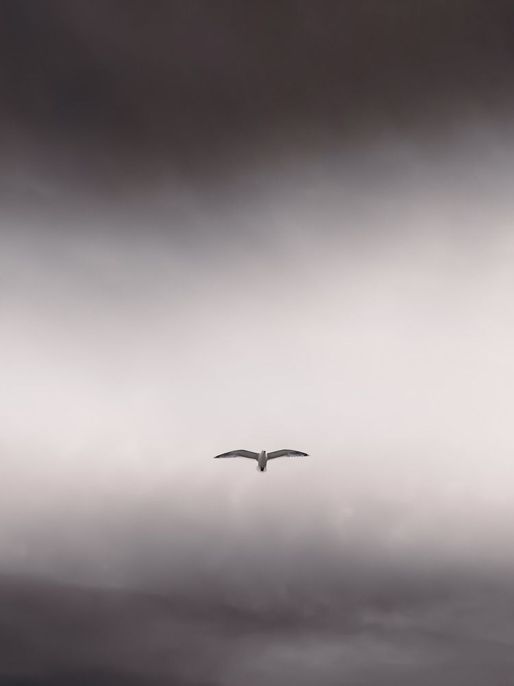 Photograph by Марат Болатханов