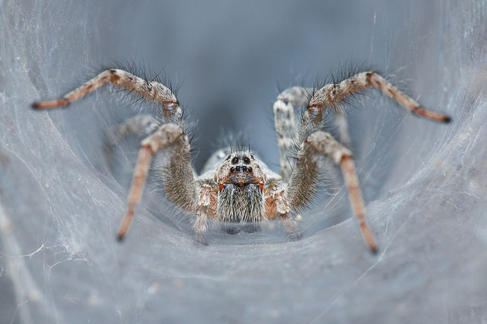 Photograph by Hemraj Chavhan A