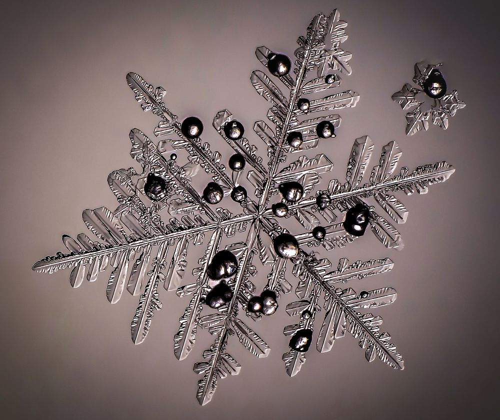 Photograph by андрей захаров