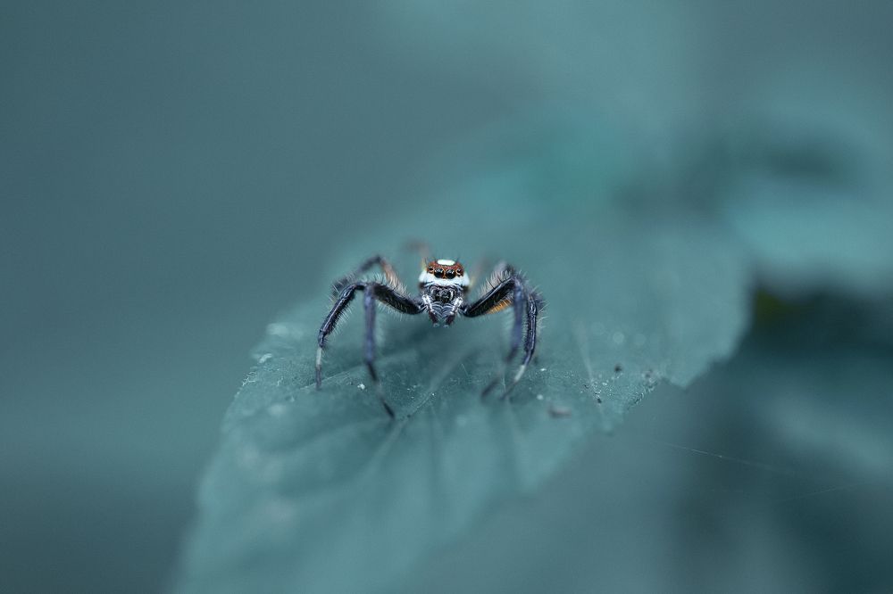 Photograph by Hemraj Chavhan A